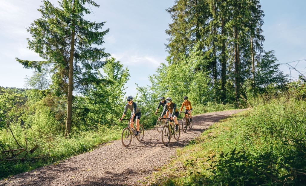 Analyse-des-NRW-Waldgesetz-Entwurfs-Zehntausende-Kilometer-Bike-Strecken-gef-hrdet