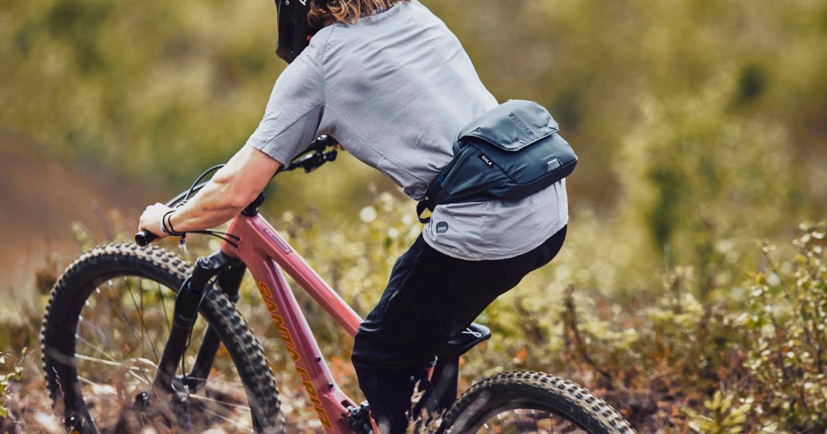 Thule Sazbike De