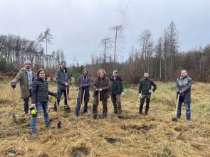 Croozer Nachhaltigkeit Wald Jonas Wehowsky 