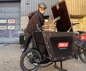 Kettler Gorillas Dockr Cargobike Lastenrad