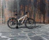 qwic garantie E-Bikes