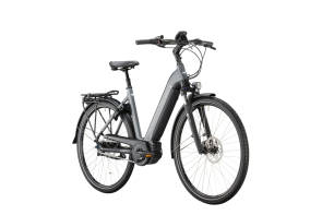 Hartje Diebstahl Hoya Victoria Qio Tern Bike 