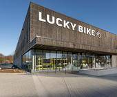 Lucky Bike Bericht Wachstum Expansion