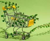 Nachhaltigkeit E-Commerce Handel Lieferung