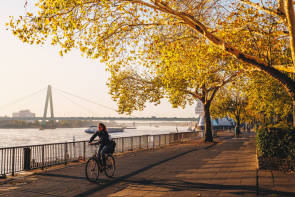 Köln Radverkehr Modal Split 