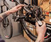 Bike Profi Swiss Primebike Schulung Werkstatt
