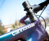 Cannondale Pon Fierkens Marke