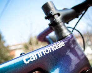 Cannondale Pon Fierkens Marke 