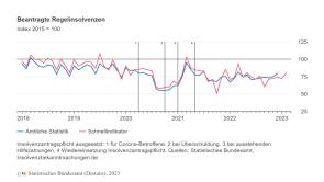 Destatis insolvenzen 