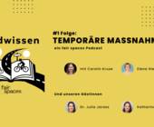 Radwissen Podcast BMDV