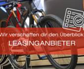 leasing übersucht vsf