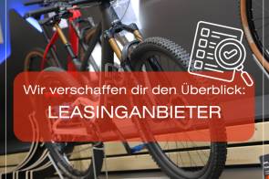 leasing übersucht vsf 