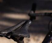 velo sattel