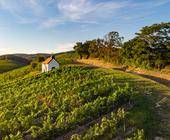 franziskuskapelle burgenland radtourismus