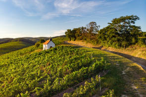 franziskuskapelle burgenland radtourismus 