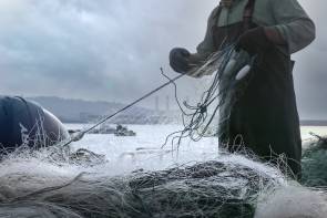 schwalbe karkasse green marathon fischernetze 