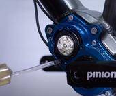 pinion