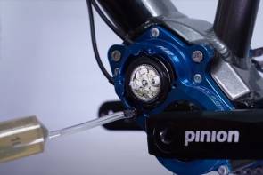 pinion 