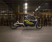 cago fsx magura ibs