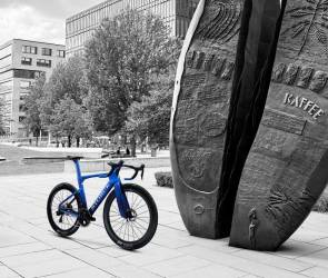 storck 