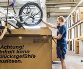 Businessbike Rebike