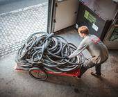 Schwalbe