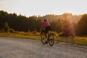 Studie Mountainbike Forum 