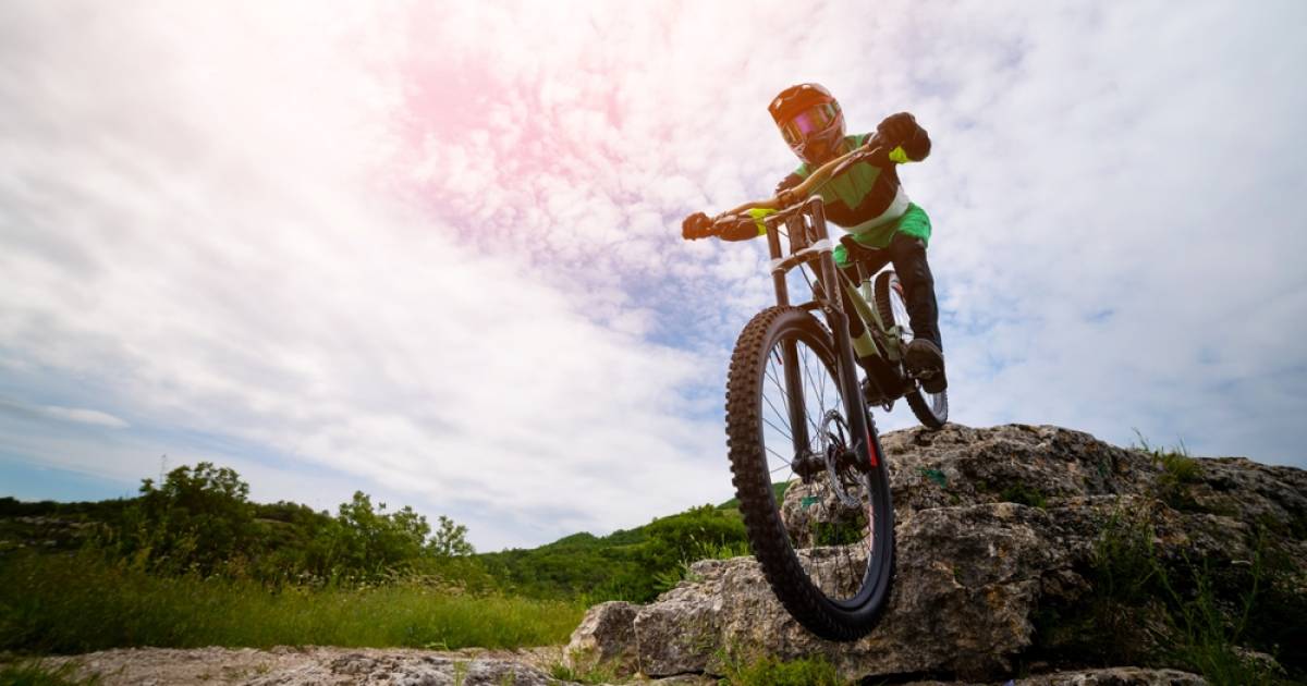 ZIV-l-dt-zum-MTB-Fachgespr-ch-des-Bike-Nature-Movement