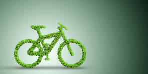 Deloitte Umfrage Studie 