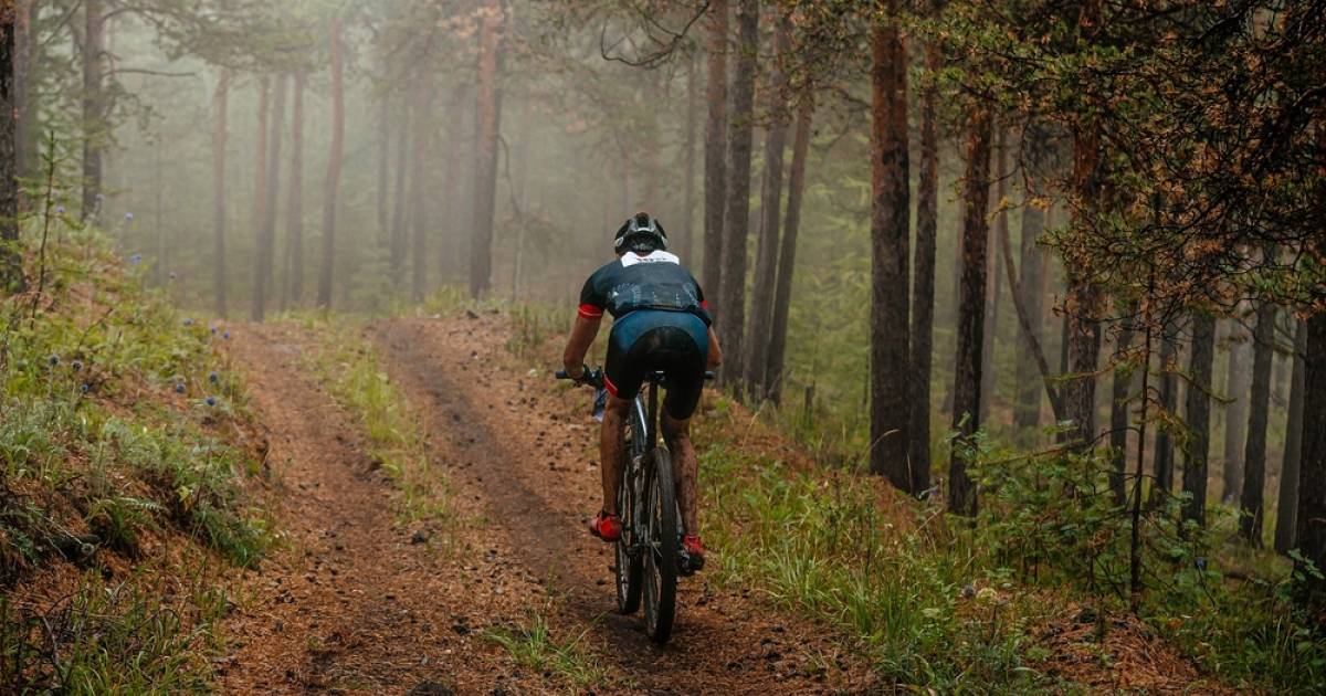 Parlamentskreis-Fahrrad-Baden-W-rttemberg-ber-Landeswaldgesetz-uneins