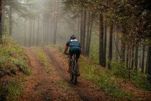 Ein Mountainbiker geht seinem Hobby nach 