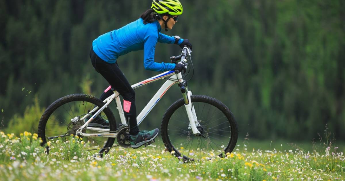 W-hler-schr-nken-Mountainbiken-im-Wald-ein