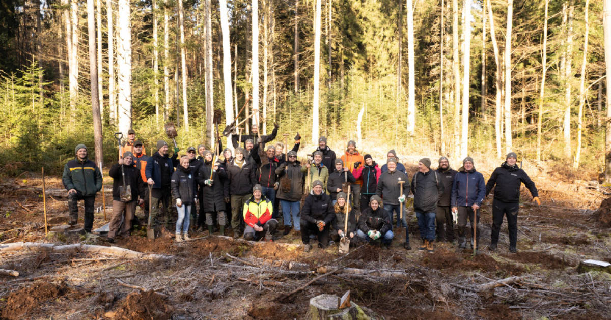 Waldbike-und-Stadtwald-Calw-setzen-auf-Nachhaltigkeit