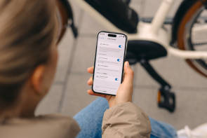 Bosch Ebike Locks 