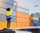 Ifo-Exporterwartungen Januar 2025