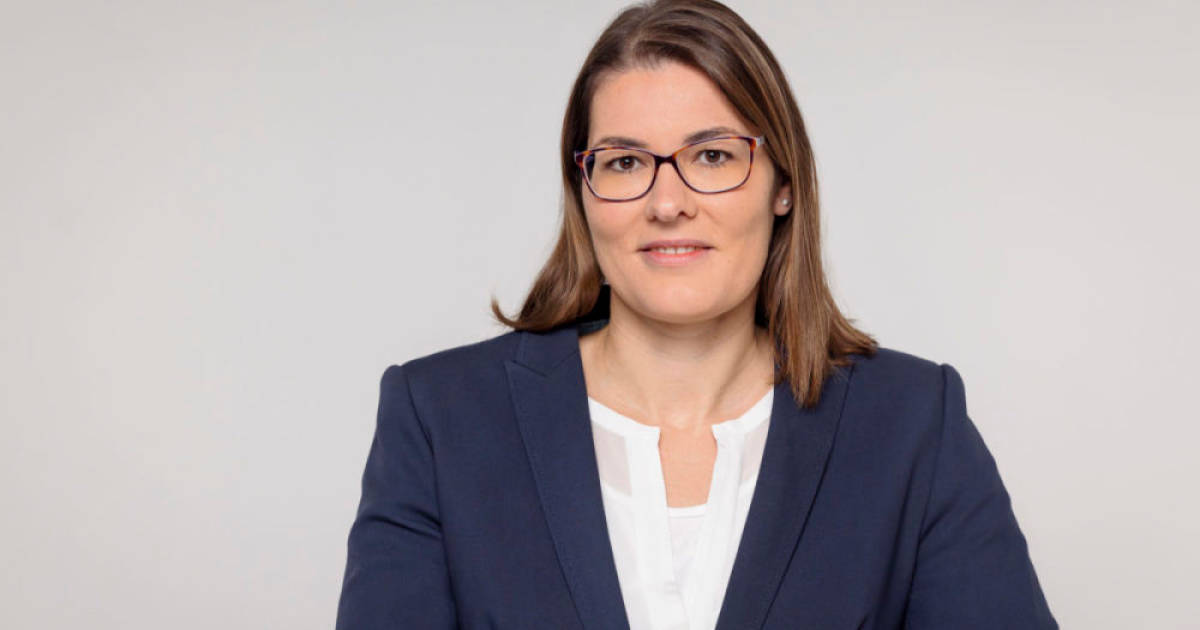 ZIV-setzt-politische-Impulse-f-r-die-neue-Wahlperiode