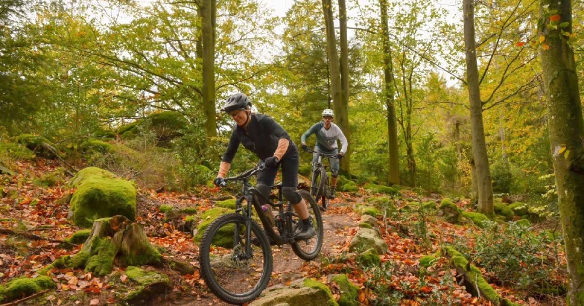 Forschungsprojekt-zur-Mountainbike-Trail-Infrastruktur-in-NRW-gestartet