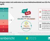 DIW Studie