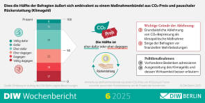 DIW Studie 