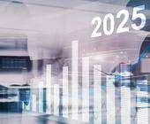 Economic Experts Survey 4Q2024