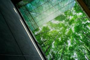 IW-Unternehmensbefragung 