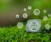 iw studie klimaschutz