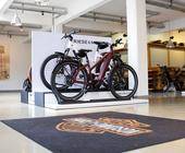 drahtesel popup riese mueller harley