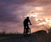 branchenstudie zukunft fahrrad