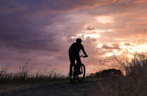 branchenstudie zukunft fahrrad 