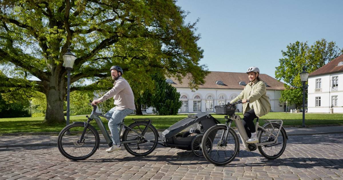 Forscher-warnen-vor-berregulierung-des-E-Bikes