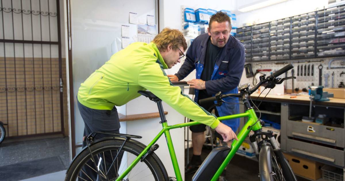 Diese-St-dte-haben-die-h-chste-Dichte-an-Fahrradh-ndlern