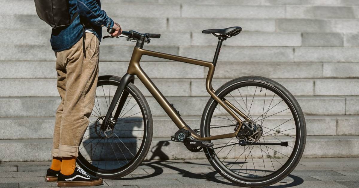 Premium-E-Bikes-kommen-im-Leasing-nach-D-nemark-und-Schweden