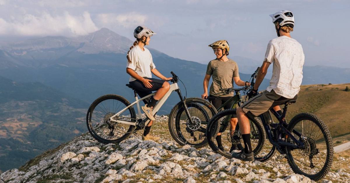 Gonso-digitalisiert-mit-Dibike-Veloconnect-Anbindung-f-r-den-Fachhandel