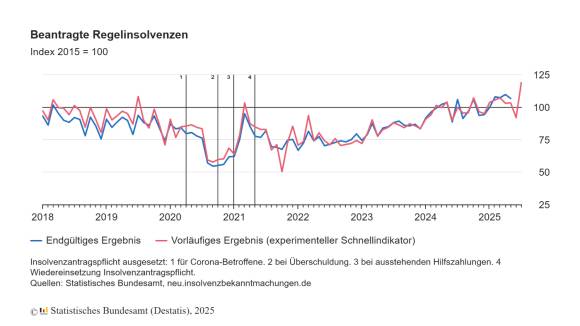 regelinsolvenzverfahren destatis